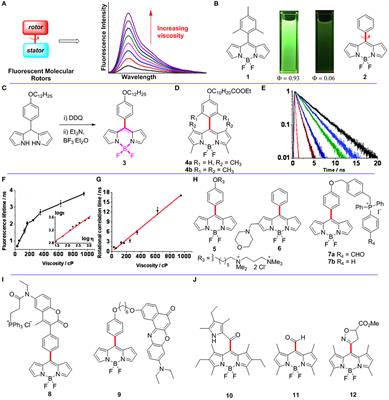 Functionalized BODIPYs as Fluorescent Molecular Rotors for Viscosity Detection